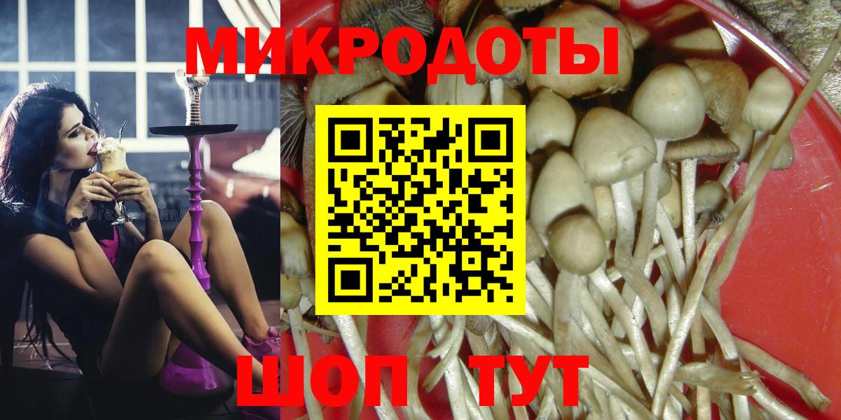 Кузнецк  купить наркотики сайты  Вход с VPN  Галлюциногенные грибы GOLDEN TEACHER 