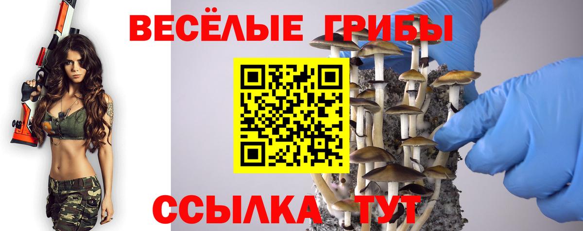 Галлюциногенные грибы мицелий Кузнецк